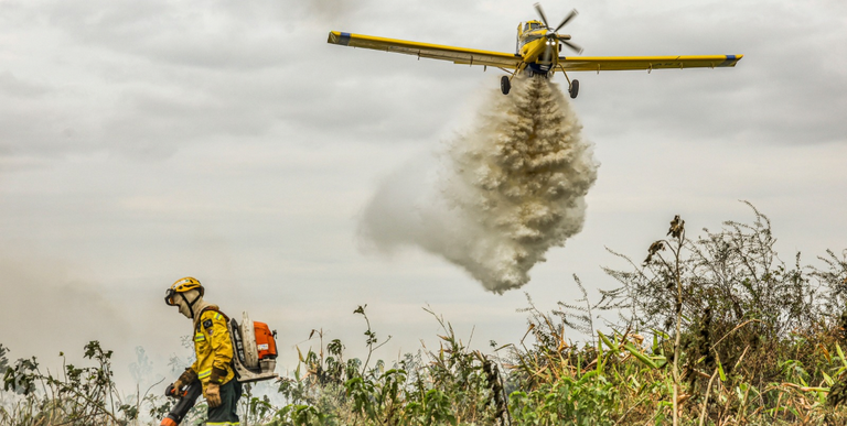Combate a incêndios no Cerrado e Pantanal poderão ser financiadas pelo Fundo Amazônia Combate a incêndios no Cerrado e Pantanal poderão ser financiadas pelo Fundo Amazônia