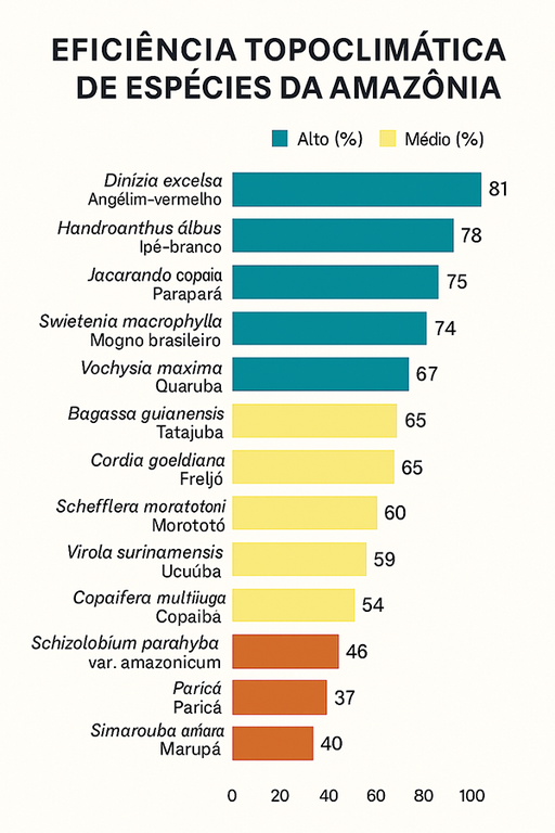 arvores_ranking.png arvores_ranking.png
