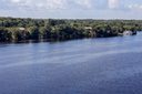 Brasil aposta na floresta como vetor de inovação e inclusão