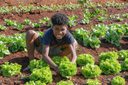 Brasil fora do Mapa da Fome: conheça a importância desse indicador