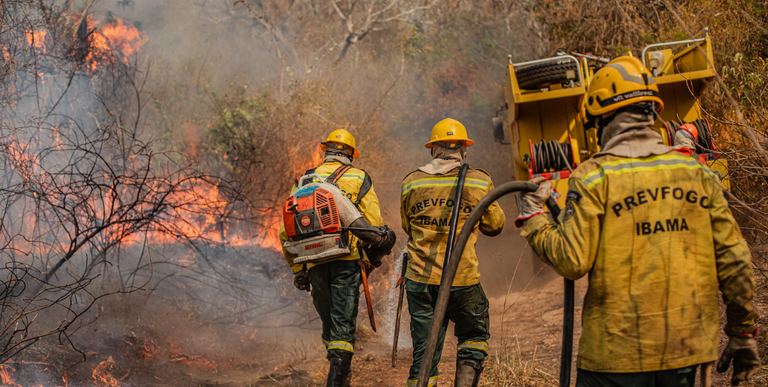 Brasil registra queda de 65,8% nas áreas queimadas e de 46,4% dos focos de calor em 2025