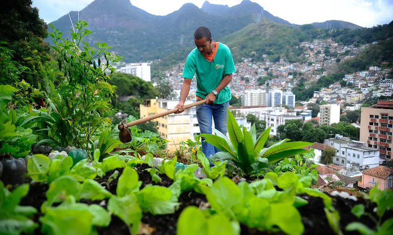 Cidades podem escolher comida saudável que ainda protege o meio ambiente Cidades podem escolher comida saudável que ainda protege o meio ambiente