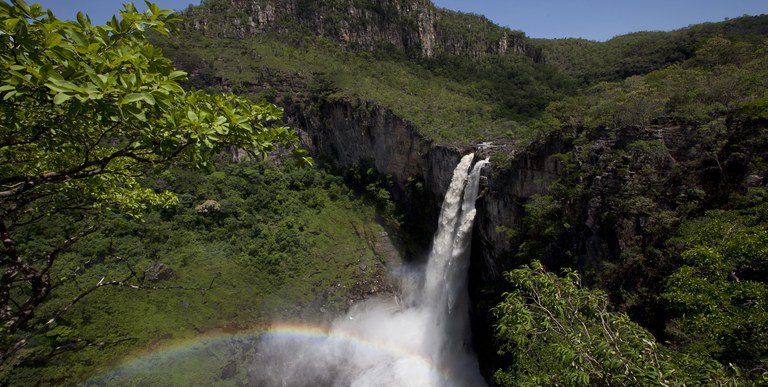 Com 25 anos de existência, SNUC se consolida como um dos principais instrumentos de proteção ambiental do País Com 25 anos de existência, SNUC se consolida como um dos principais instrumentos de proteção ambiental do País