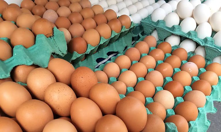 Com preços de alimentos em queda, inflação fica em 0,24% em junho Com preços de alimentos em queda, inflação fica em 0,24% em junho