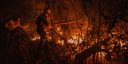Fundo Amazônia aprova R$ 150 mi para ações contra incêndios no Cerrado e no Pantanal