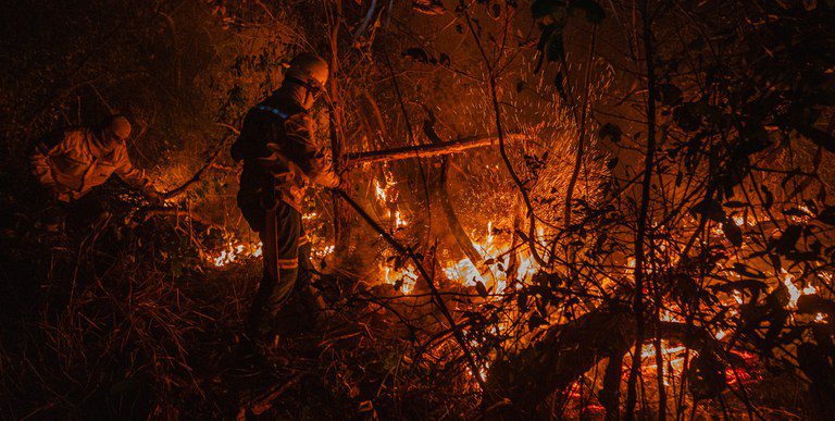 Fundo Amazônia aprova R$ 150 mi para ações contra incêndios no Cerrado e no Pantanal