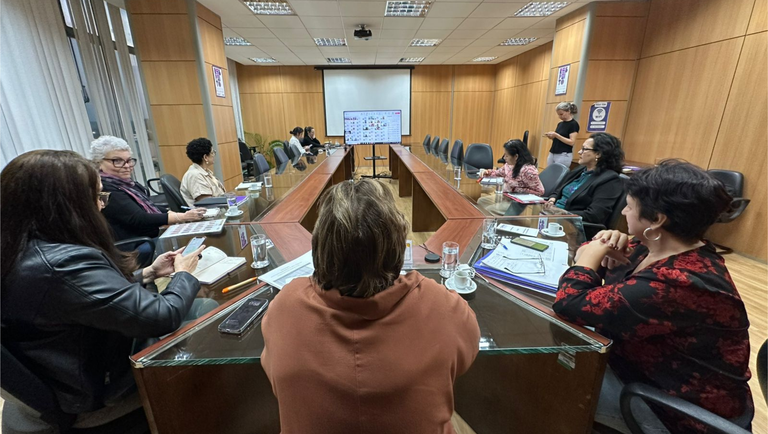 Mais de 800 conselheiras de direitos da mulher participam de reunião virtual rumo à Conferência Nacional Mais de 800 conselheiras de direitos da mulher participam de reunião virtual rumo à Conferência Nacional