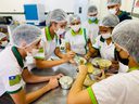 MEC pede colaboração para identificar carências locais de ensino técnico MEC pede colaboração para identificar carências locais de ensino técnico