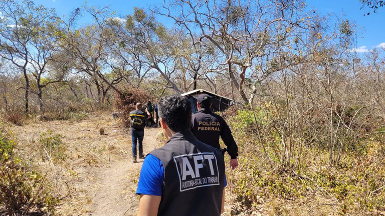 MTE resgata 18 trabalhadores em condições degradantes em carvoarias no Norte de Minas MTE resgata 18 trabalhadores em condições degradantes em carvoarias no Norte de Minas