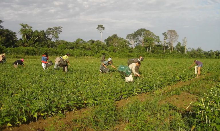 Presidente sanciona lei que institui a Política Nacional de Juventude e Sucessão Rural Presidente sanciona lei que institui a Política Nacional de Juventude e Sucessão Rural