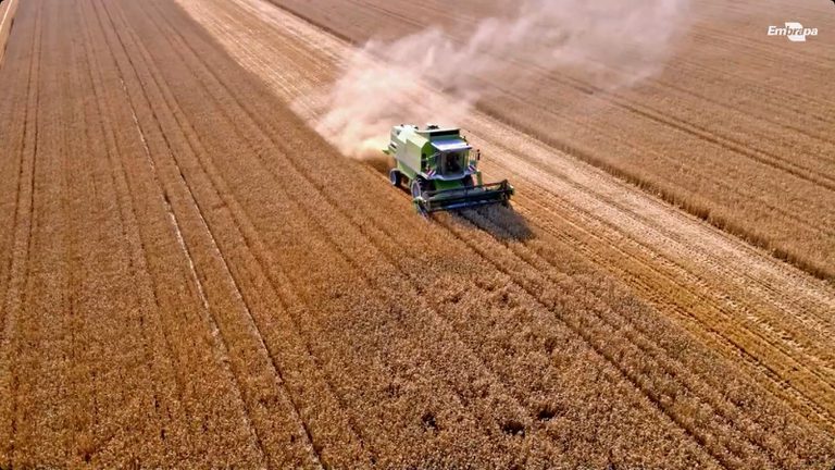 Vídeos da Embrapa ensinam a enfrentar riscos climáticos na agricultura. Assista