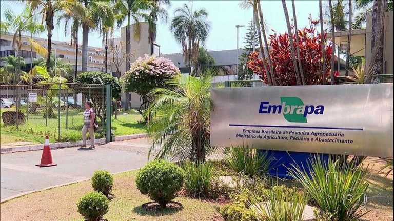 Vinte e quatro pesquisadores da Embrapa estão entre os mais citados do mundo Vinte e quatro pesquisadores da Embrapa estão entre os mais citados do mundo