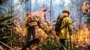 Brasil alcança menor índice de focos de calor dos últimos 12 anos Brasil alcança menor índice de focos de calor dos últimos 12 anos