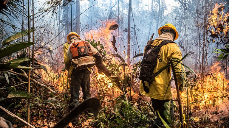 Brasil alcança menor índice de focos de calor dos últimos 12 anos