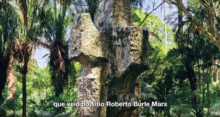 Burle Marx.jpeg