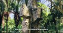 Burle Marx.jpeg Burle Marx.jpeg