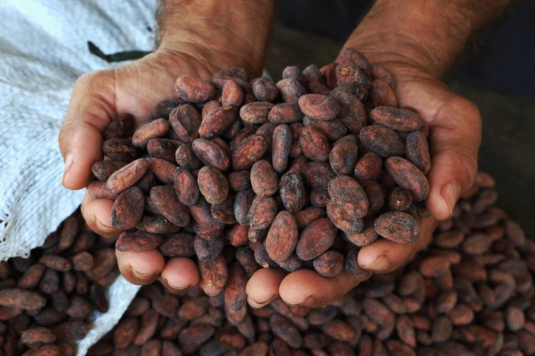 Com mais R$ 55 milhões, ações do Fundo Amazônia em Rondônia já somam 178 milhões
