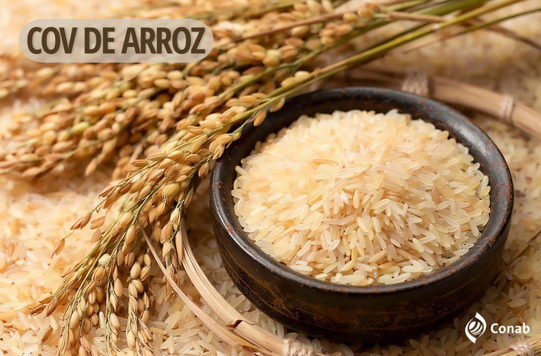Conab vai comprar até 110 mil toneladas de arroz por Contrato de Opção de Venda