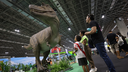 Parques do Brasil levam experiências inéditas ao Salão do Turismo, em SP Parques do Brasil levam experiências inéditas ao Salão do Turismo, em SP