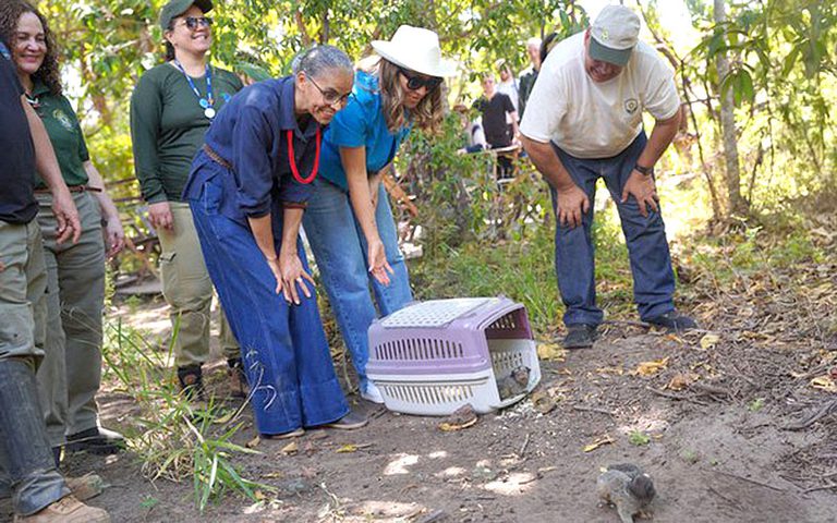 Marina Silva e Janja participam da soltura de 42 animais reabilitados no Cerrado Marina Silva e Janja participam da soltura de 42 animais reabilitados no Cerrado