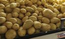 Boletim Prohort: preço da batata cai pelo segundo mês seguido. Cebola também tem queda Boletim Prohort: preço da batata cai pelo segundo mês seguido. Cebola também tem queda