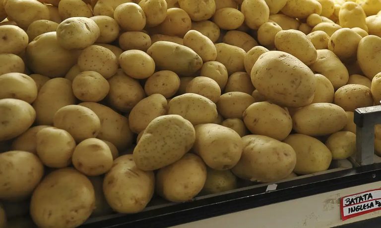 Boletim Prohort: preço da batata cai pelo segundo mês seguido. Cebola também tem queda