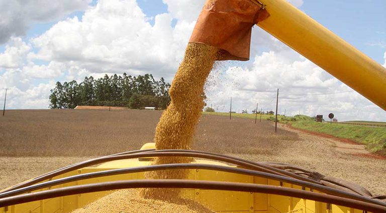 Brasil atinge novo recorde na produção de grãos: 350,2 milhões de toneladas