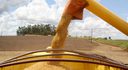 Brasil atinge novo recorde na produção de grãos: 350,2 milhões de toneladas