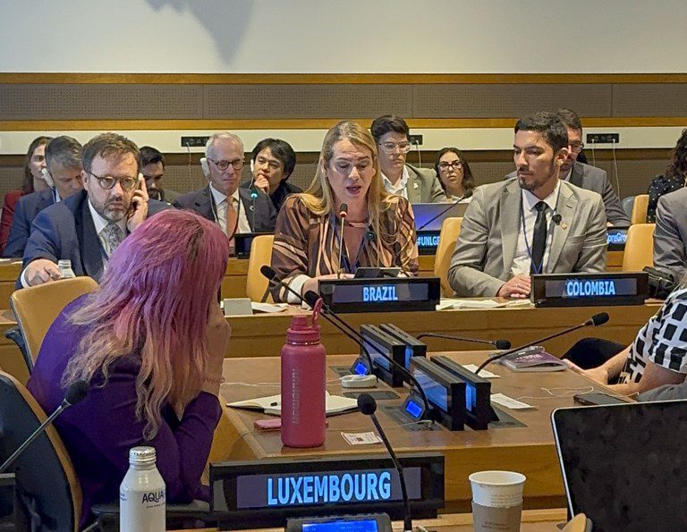 Brasil reforça compromisso internacional com os direitos LGBTQIA+ em evento da ONU em Nova York Brasil reforça compromisso internacional com os direitos LGBTQIA+ em evento da ONU em Nova York