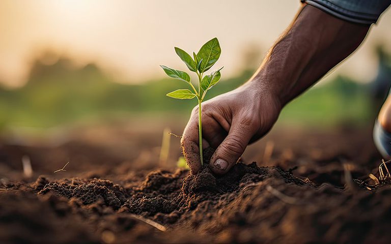 Caixa destinará R$ 3,5 bilhões para recuperar 200 mil hectares de áreas degradadas Caixa destinará R$ 3,5 bilhões para recuperar 200 mil hectares de áreas degradadas