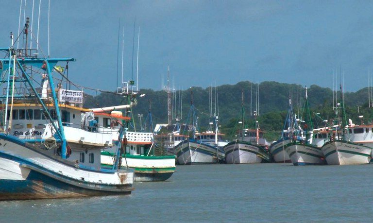 Conheça as vantagens da certificação higiênico-sanitária das embarcações de pesca Conheça as vantagens da certificação higiênico-sanitária das embarcações de pesca
