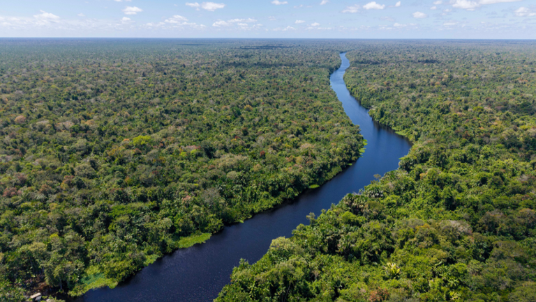 Dia da Amazônia: Brasil se prepara para receber o mundo na COP 30 em Belém Dia da Amazônia: Brasil se prepara para receber o mundo na COP 30 em Belém