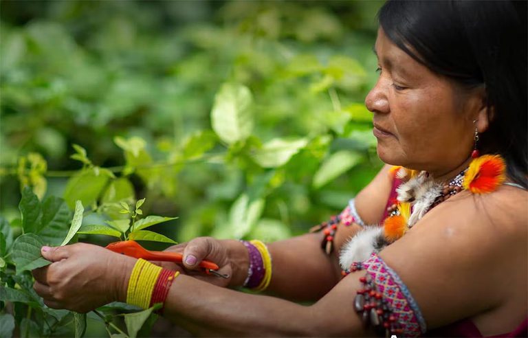 Governo do Brasil e mais sete países aderem a iniciativa de microcrédito ambiental Governo do Brasil e mais sete países aderem a iniciativa de microcrédito ambiental