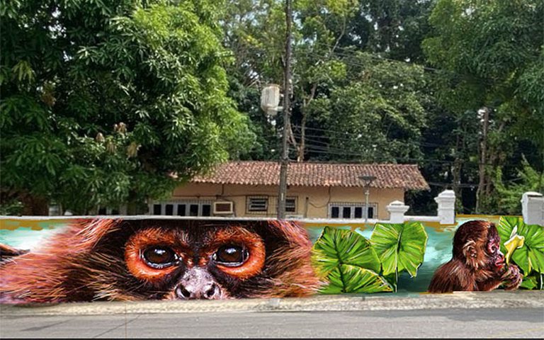 Galeria de arte a céu aberto: Museu Goeldi convida para um domingo festivo