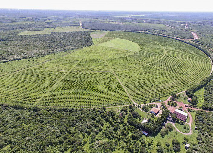 Governo Federal inicia contratação de sistemas de irrigação em Vilas Produtivas Rurais