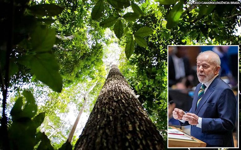 Lula anuncia US$ 1 bilhão para Fundo de Florestas Tropicais para Sempre: ‘Liderar pelo exemplo’ Lula anuncia US$ 1 bilhão para Fundo de Florestas Tropicais para Sempre: ‘Liderar pelo exemplo’