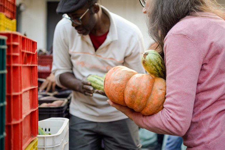 Desenvolvimento Social aprova estratégia para reduzir desperdícios de alimentos Desenvolvimento Social aprova estratégia para reduzir desperdícios de alimentos