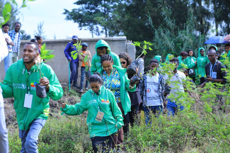 Mutirão das Juventudes COP 30 planta 300 mudas durante Cúpula do Clima da África Mutirão das Juventudes COP 30 planta 300 mudas durante Cúpula do Clima da África