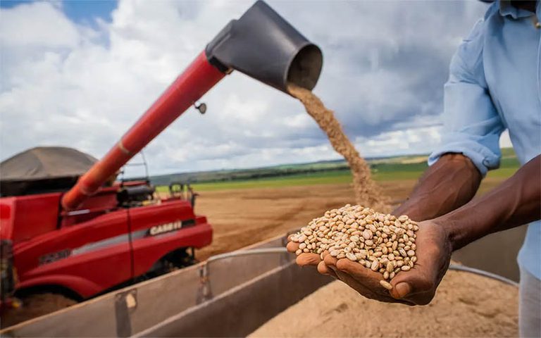 Operações de apoio aos produtores de feijão são realizadas nesta semana
