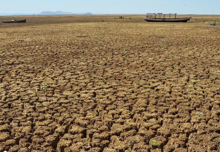 Plano de Ação Brasileiro de Combate à Desertificação é aprovado por unanimidade