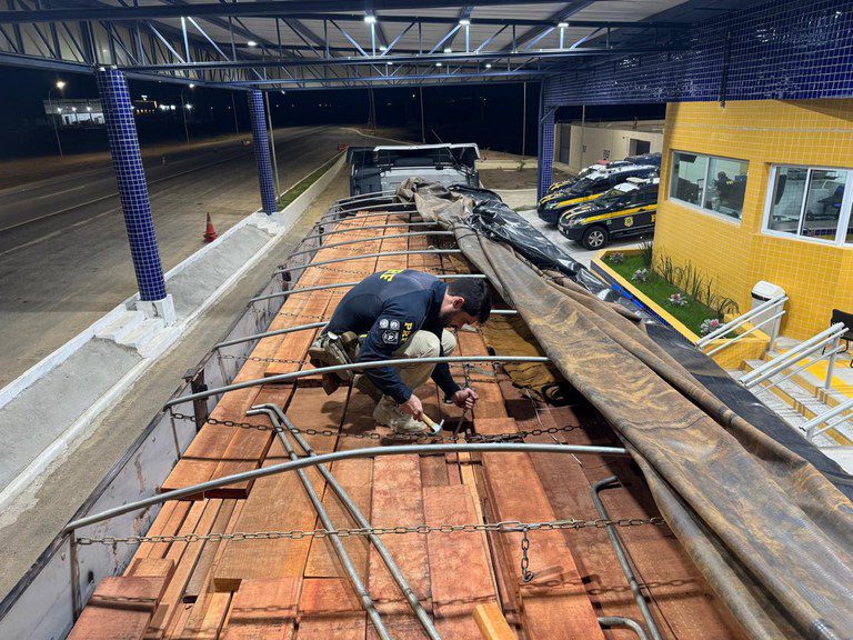 Operação da PRF realiza maior apreensão de madeira ilegal da história em rodovias federais Operação da PRF realiza maior apreensão de madeira ilegal da história em rodovias federais