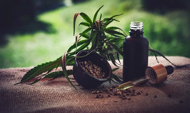Relatório mostra como Brasil pode ser líder na produção de cânhamo e cannabis Relatório mostra como Brasil pode ser líder na produção de cânhamo e cannabis