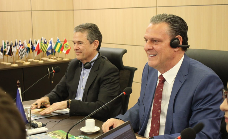 Sem gripe aviária: União Europeia autoriza retomada exportações de frango do Brasil