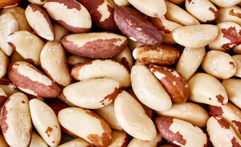 Costa Rica autoriza a importação de castanha-do-Brasil e abre novo mercado para o agro