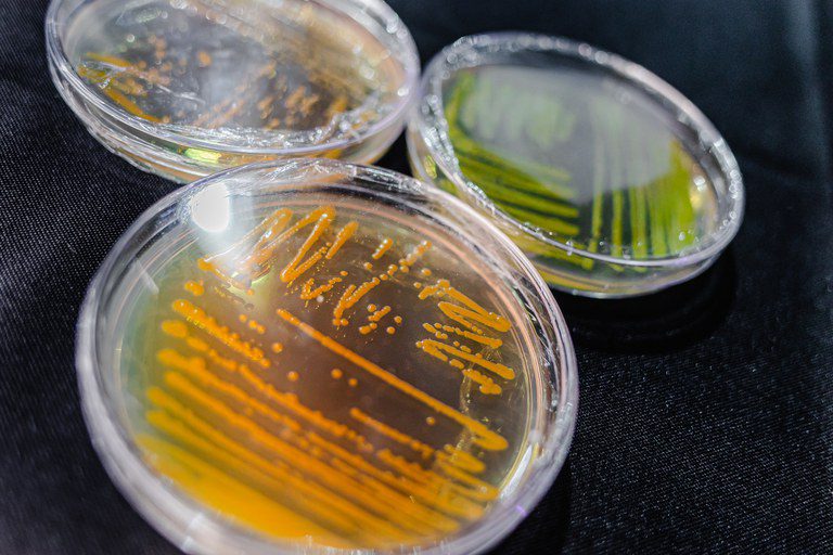 Bioplástico e inovação juvenil: ciência em ação nos estandes da Semana de Ciência e Tecnologia