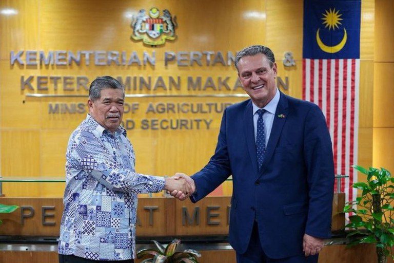 Brasil retoma venda de carne de frango para a Malásia e abre seis novos mercados