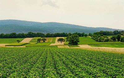 COP 30 mostrará a experiência da agricultura tropical sustentável brasileira para o mundo