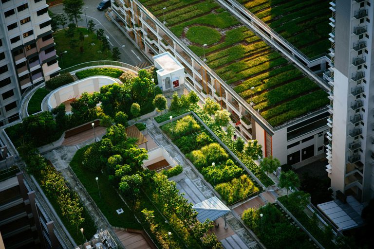COP 30 anuncia programação da Agenda de Ação COP 30 anuncia programação da Agenda de Ação