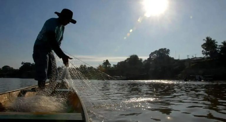 Criação de peixes em tanques federais cresce 19,4% e chega a 138,5 mil toneladas Criação de peixes em tanques federais cresce 19,4% e chega a 138,5 mil toneladas