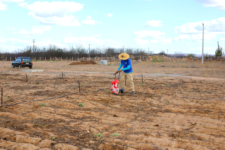 Famílias reassentadas iniciam cultivo em área irrigada do Projeto de Integração do São Francisco
